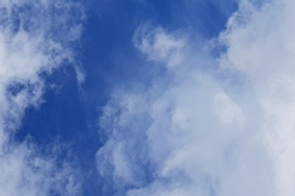 유아.유치부 여름성경학교